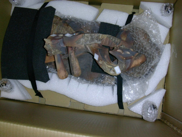 ��ˇƷ����ľ����b