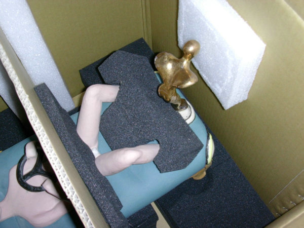 ˇ�g(sh��)���wľ����b